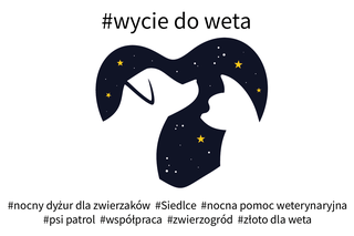 Wyzwanie dla weterynarzy od mieszkańców Siedlec: kto podejmie rękawicę? [AUDIO]