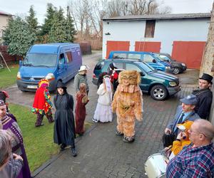 Wodzenie niedźwiedzia w Śląskiem. Korowód w Sierotach