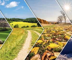 Moi dziadkowie co roku przepowiadają pogodę w ten sposób. Od św. Łucji do Wigilii. Taki będzie 2024. Kluczowy jest ten szczegół  