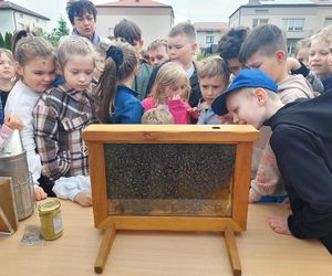Za nami 4. Miejskie Miodobranie w Zamościu. Były gry, zabawy i ciekawostki