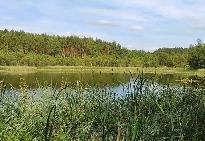 Rezerwat Jeziorka Kozie został utworzony w 1984 roku