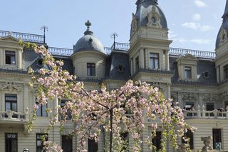 Który budynek w Łodzi jest najpiękniejszy? Sztuczna inteligencja nie ma wątpliwości