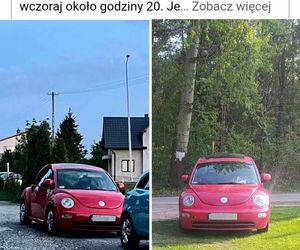 Kulisy zatrzymania Bartłomieja B.