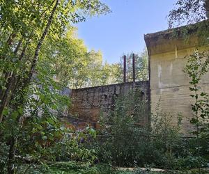 Monumentalna śluza Leśniewo z symbolami III Rzeszy ukryta w mazurskim lesie. Jest owiana tajemnicą [ZDJĘCIA]