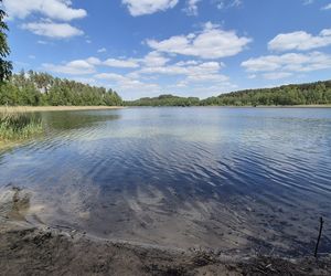 To jezioro w Olsztynie ma niezwykle czystą wodę. Jest kilka dzikich plaż, które świecą pustkami