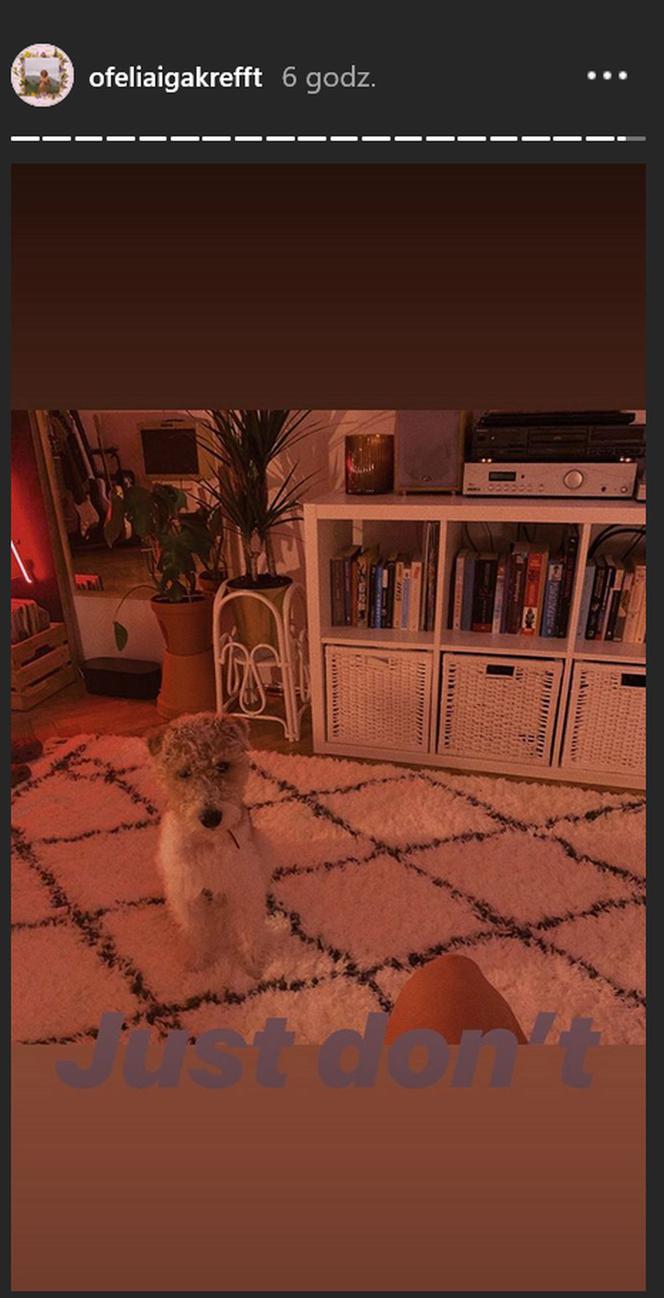 Iga Krefft (Ula z M jak miłość) na Instagramie pokazała mieszkanie