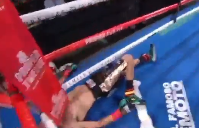 Brutalny nokaut w walce Gervonta Davis - Leo Santa Cruz