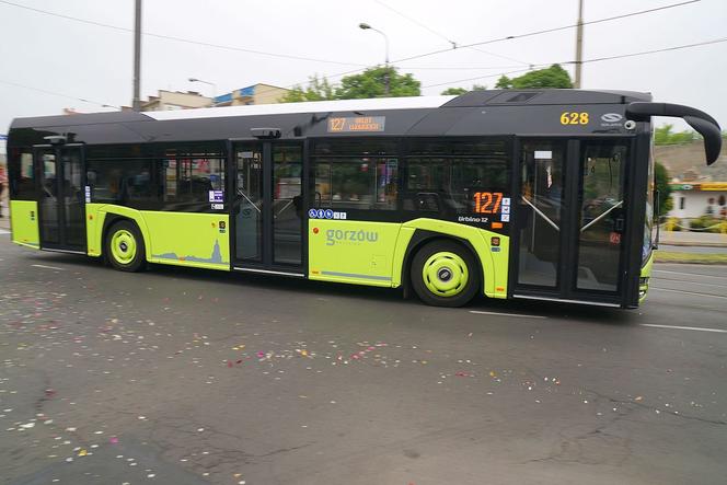Pasażer POGRYZŁ kierowcę! Wściekły atak w autobusie miejskim w Gorzowie
