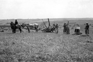 Wieś w woj. lubelskim