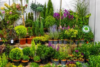 Targi ZIELEŃ TO ŻYCIE 2025