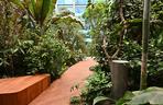 Ogród botaniczny wśród wieżowców