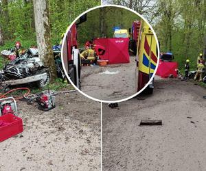 BMW roztrzaskało się na drzewie. 22-letnia pasażerka nie żyje 