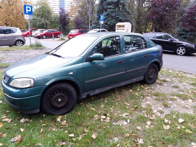 Mistrzowie parkowania w Katowicach ukarani przez Straż Miejską