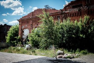Małe miasteczko z wielkim potencjałem. Odkryj największe atrakcje Żyrardowa 