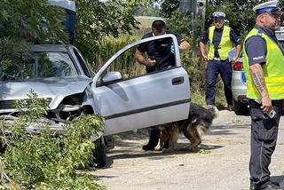 Rąbnął w drzewo, zostawił nieprzytomnego pasażera na pastwę losu.