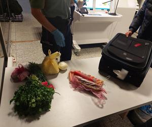 Nielegalna żywność przejęta na lotnisku w Pyrzowicach