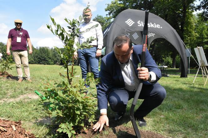 Park Śląski: AKCJA 1327 DRZEW
