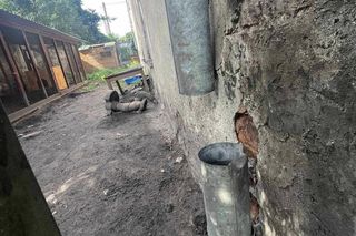 Wrocławska Ekostraż apeluje o pomoc. Sypiemy się 