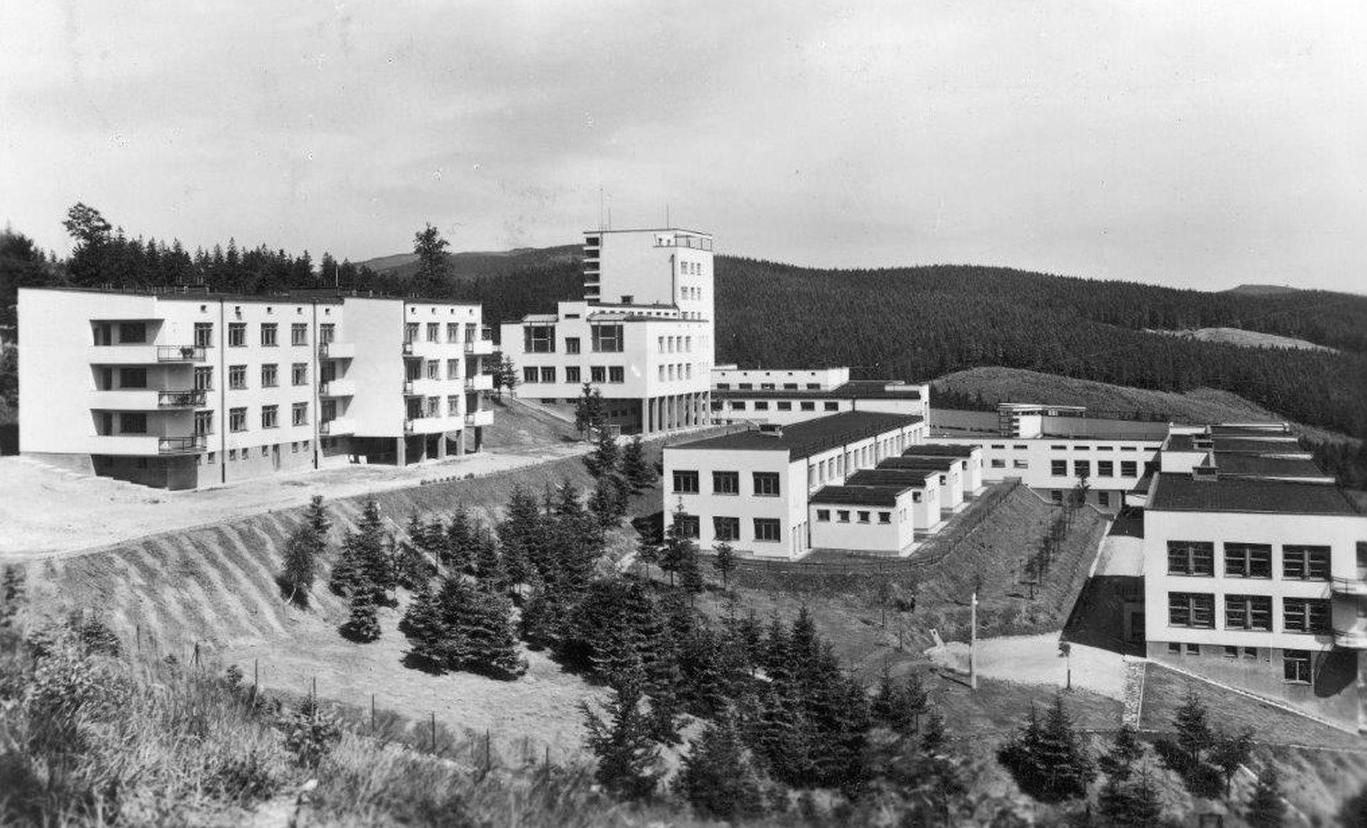 Jadwiga Dobrzyńska: prekursorka, architektoniczka, pierwsza kobieta w polskiej architekturze