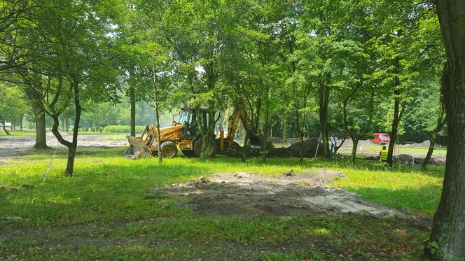 Ogród Jordanowski w Sosnowcu