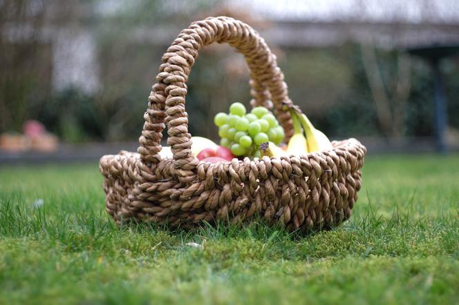 Szykuje się rodzinna zabawa! Piknik Ekologiczny w Parku Północym