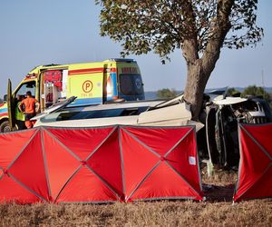 Wypadek Busa z Dziećmi w Miejscowości Lechów 