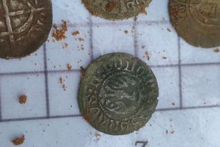 Cenne odkrycie w Borach Tucholskich. Za jedną taką srebrną monetę Krzyżacy kupowali bochenek chleba czy garść soli