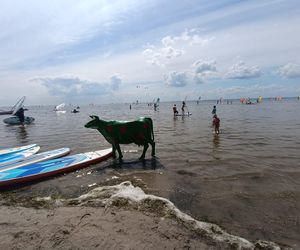 Nietypowa atrakcja nad morzem. Ta figura stoi w wodzie! Turyści ją pokochali