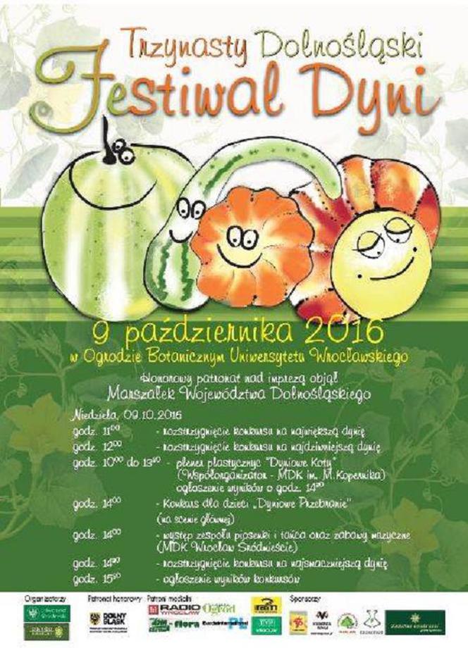 Festiwal Dyni