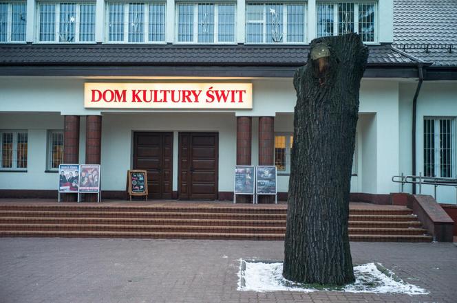 Miodobranie - festyn rodzinny