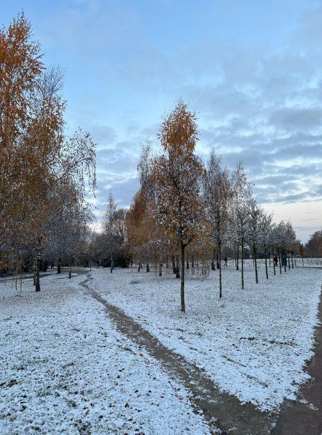 Znajdź spokój i prawdziwą naturę. Odkrywaj Wieniec-Zdrój w okresie jesienno-zimowym!