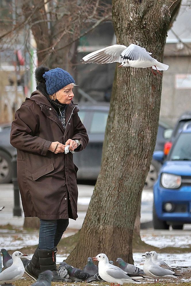 Anna Chodakowska. Gwiazda "Labiryntu" wśród ptaków