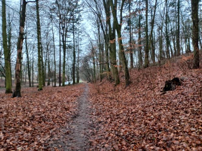 Park Zacisze Gorzów