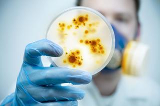 Antybiogram - kiedy konieczny jest antybiotyk i jaki? Interpretacja wyników
