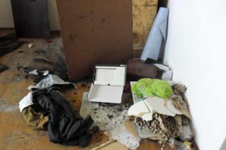 Zdewastowane mieszkania komunalne w Katowicach