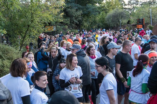 Wild Run 2019. Znamy zwycięzców charytatywnego biegu we wrocławskim zoo