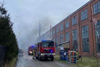 Duży pożar pod Środą Śląska. Ponad 100 strażaków gasi płonącą halę z bateriami   