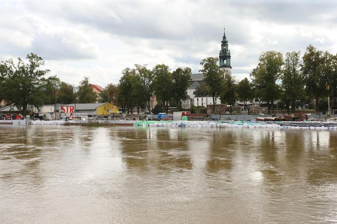 Fala kulminacyjna przepływa przez województwo lubuskie. Tak wygląda Krosno Odrzańskie