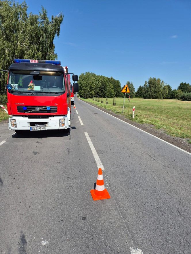 Śmiertelny wypadek pod Łęczycą. 28-letni motocyklista uderzył w tył tira [ZDJĘCIA]