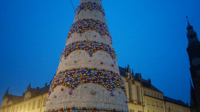 Choinka na wrocławskim rynku