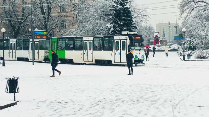 Mniej tramwajów i autobusów. Komunikacja miejska w Szczecinie w okresie świątecznym
