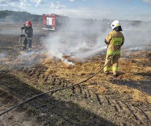 Pożar maszyny rolniczej, rżyska słomy i zboża - Lipowina gm. Braniewo