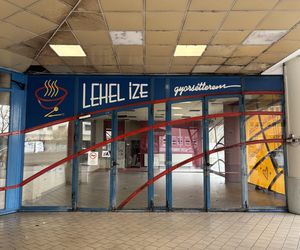 Lehel Market w Budapeszcie