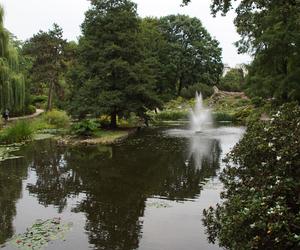 To jeden z najpiękniejszych ogrodów botanicznych w Polsce. Znajduje się na Dolnym Śląsku 