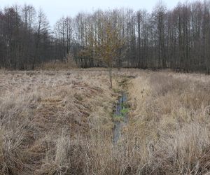 Spacer doliną Bystrzycy na lubelskim Wrotkowie