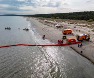 Balex Delta 2025