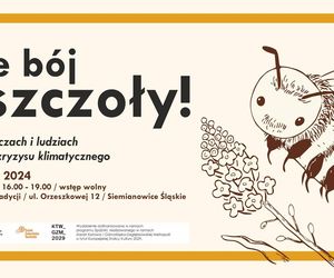 Co się dzieje w weekend 22-24 listopada w woj. śląskim. Imprezy w Katowicach i okolicach