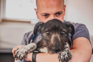 Szok! Chcą zamknąć Centrum Adopcyjne Lecznicy ADA w Przemyślu. Potrzebna Wasza pomoc!