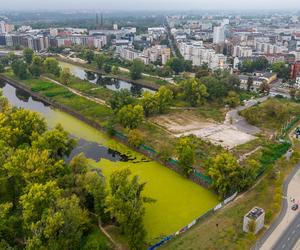 Port Praski - widok z drona, wrzesień 2024