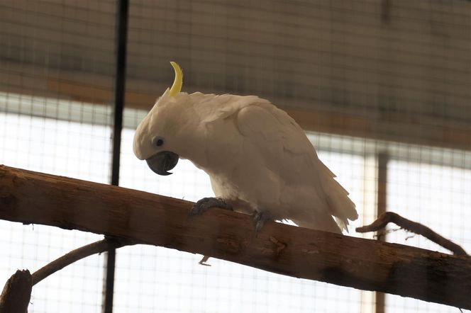 ZooPark ponownie przyciągnął do Targów Lublin tłumy miłośników zwierząt
